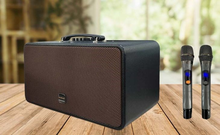 Loa karaoke Bluetooth – Xu hướng tiện lợi cho gia đình